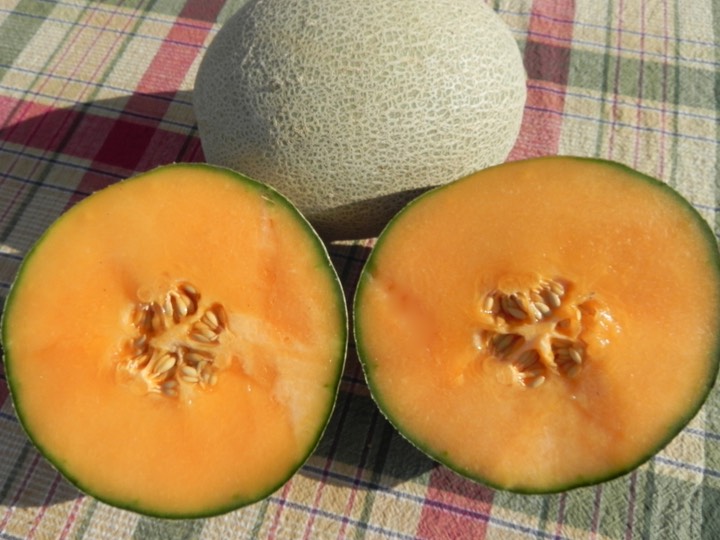 12LSLH006